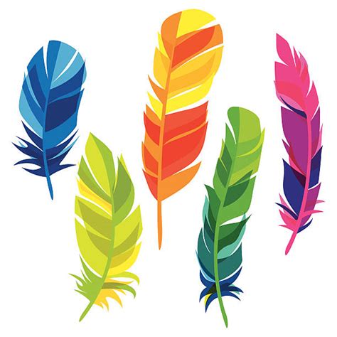 9 Feather Clipart Preview Colourful Feather Hdclipartall