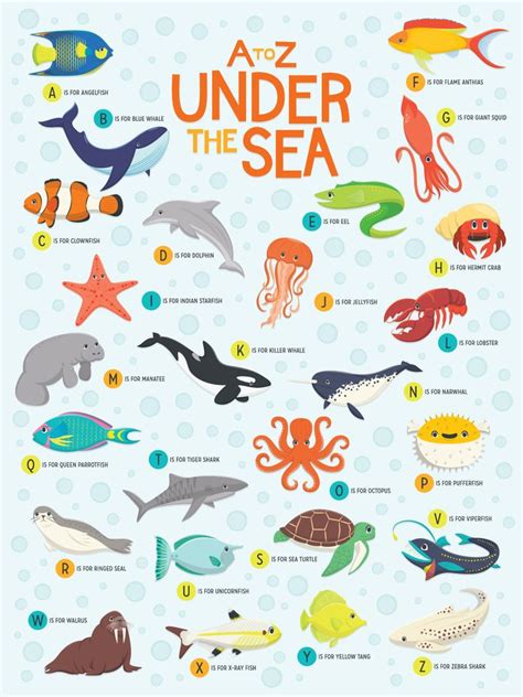 An Illustrated Poster With Different Types Of Sea Animals And Their
