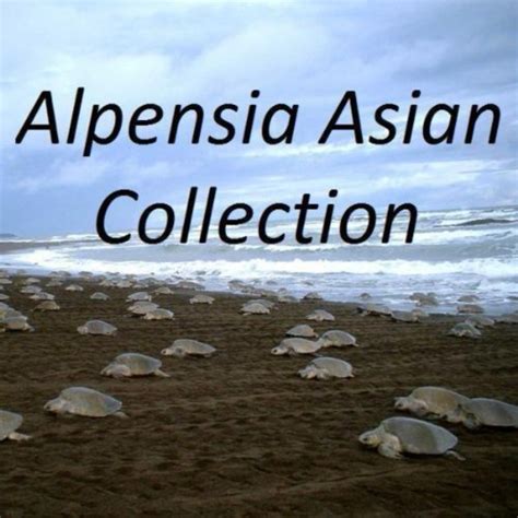 alpensia asian collection various artists digital music