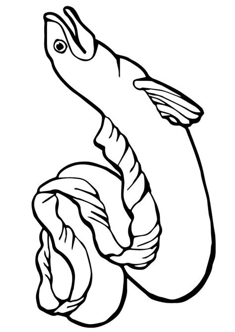 15 Amazing Sea Animals Coloring Pages For Your Little Ones Coloring