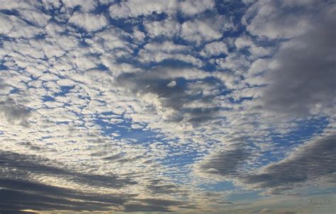 Mackerel Sky Natural Photograph By Amanda Holmes Tzafrir