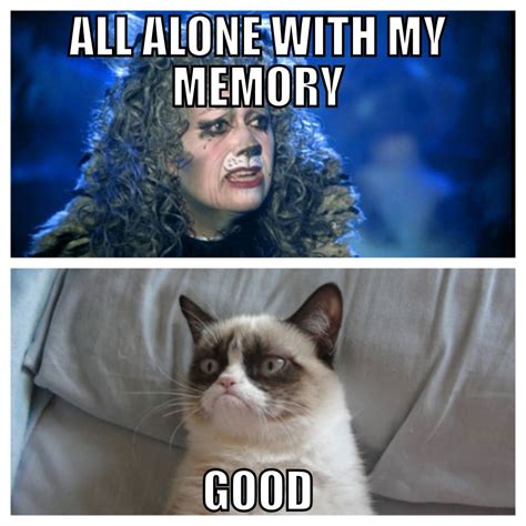 Cats The Musical Grumpy Cat Meme Grumpy Cat Meme Cat Quotes Funny
