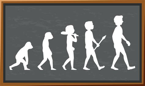 Stages Of Human Evolution Cartoon Character 5921677 Vector Art At Vecteezy