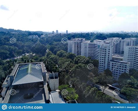 Aerial View Of Bukit Batok Nature Park Stock Photo Image Of Asia