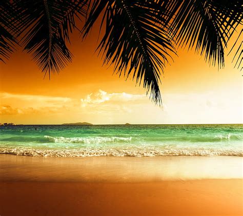 1920x1080px 1080p Free Download Tropical Beach Bonito Palms Sea
