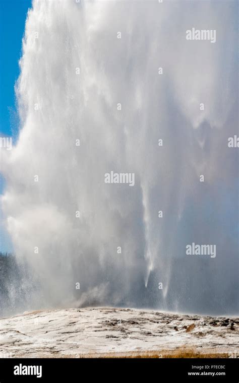 Old Faithful Geyser In Yellowstone National Park In Wyoming Stock Photo