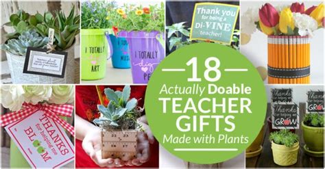 Teacher appreciation week is the perfect time to show those special leaders just how wonderful they are. 18 Beautiful (and Actually Doable) Plant Gifts for ...