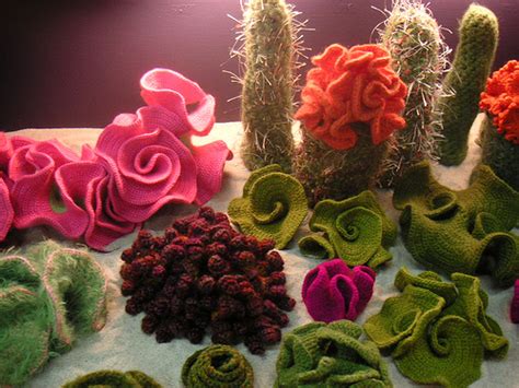Hyperbolic Crochet Coral Reef Coming To Washington