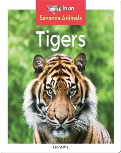 Animals Research Tigers Childrens Book Collection Discover Epic