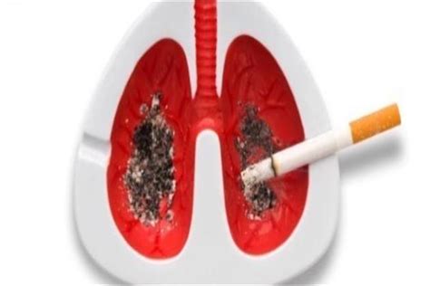 فيديو تعرف على أنواع السرطان التي يسببها التدخين بوابة أخبار اليوم الإلكترونية