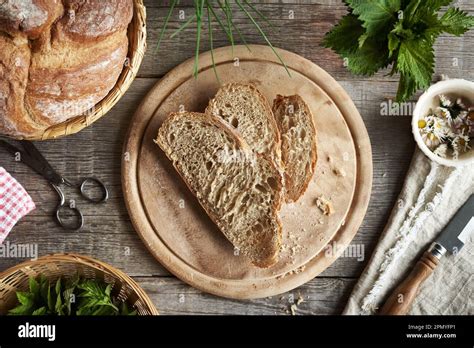 Sourdough Bread With Fresh Wild Edible Plants Ground Elder Stinging