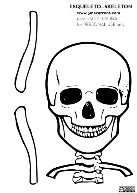 Esqueleto Humano Para Imprimir Recortar E Montar Learnbraz