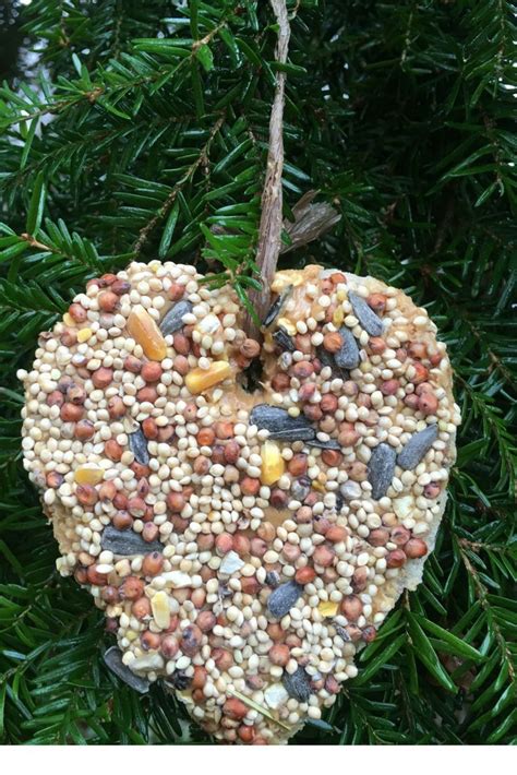 How To Make Valentines Day Birdseed Ornaments Diy Craft Bird Seed