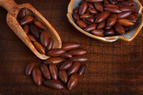 Baru Nuts: Nutrition Facts, Benefits, and Research | Nutrition Advance
