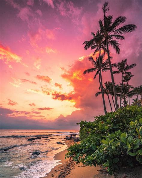 Hawaii Sunrise Waves Palms Sea Sands Ocean Photos Cantik