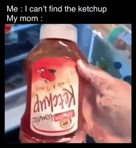 Mom I Asked For Ketchup Not Dnɥɔʇǝʞ Funny In 2022 Best Funny Pictures Funny Pictures New Memes