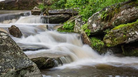 Mountain Stream Cascade Flows Through Forest Stock Photo Image Of
