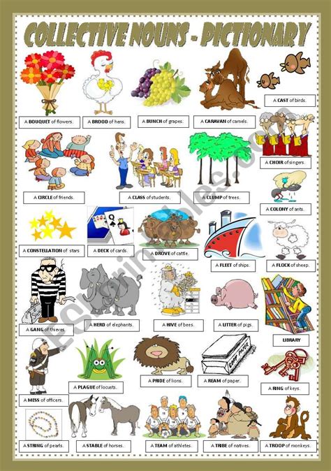 Collective Nouns Pictionary Worksheet Interactive Anchor Charts Herd