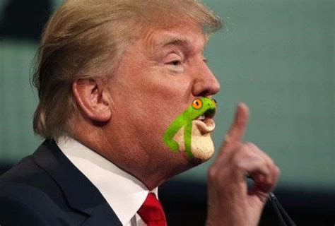 Trumps Chin Looks An Awful Lot Like A Frog Boing Boing