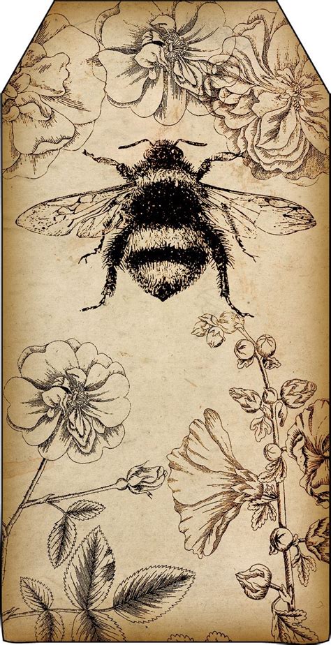 Bountiful Heirlooms Free Printables Bee And Beekeeping Tags Bee