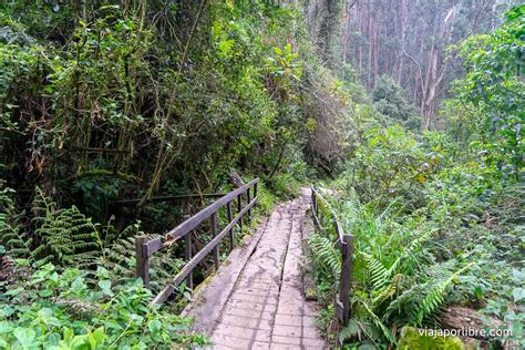 Qué Ver Y Hacer En Ruta A La Quebrada La Vieja En Bogotá Viaja Por Libre