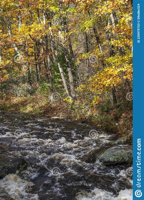 Autumn At The Rivers Edge Stock Image Image Of Leaves 235975753