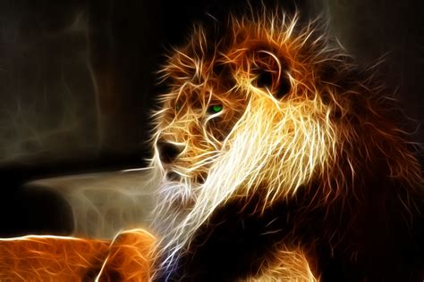 Lion Wallpapers Pictures Images