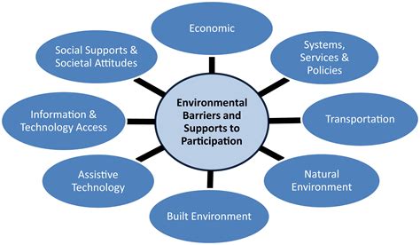 Environmental Barriers And Supports To Everyday Participation A