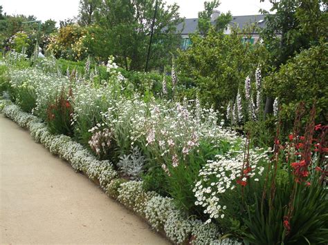 Maybe you would like to learn more about one of these? Flower garden, Hedges, Garden