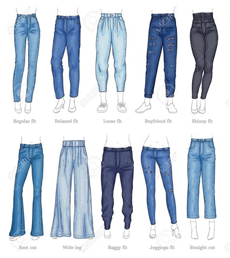 Set Of Female Jeans Models And Their Names Sketch Style Vector