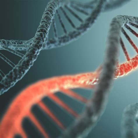 Rna polymerase is an enzyme that produces rna and catalyzes the initiation and elongation of rna chains from a dna template. Approval of first 'RNA interference' drug - Why the ...