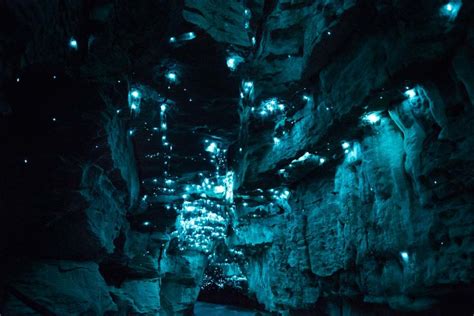 Photographer Captures Stunning Images Of Bioluminescent Glowworms In
