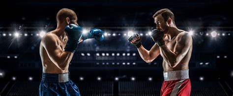 Understanding Boxing And Mma Fight Nights Fightcamp