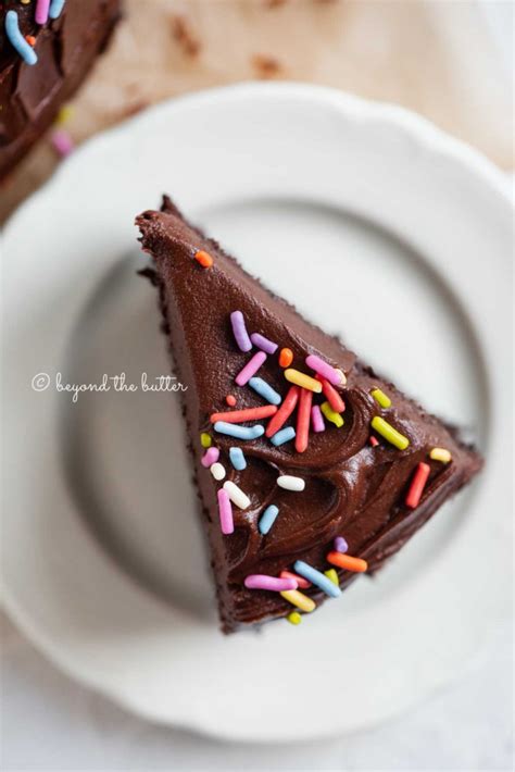 Single Layer Chocolate Cake Beyond The Butter