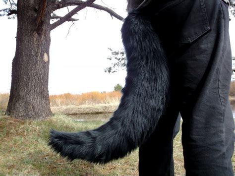 What Makes Wolf Tails More Beautiful World Amazing Information