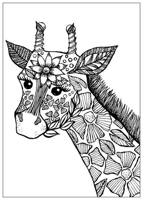 Giraffe Head With Flowers Giraffes Adult Coloring Pages