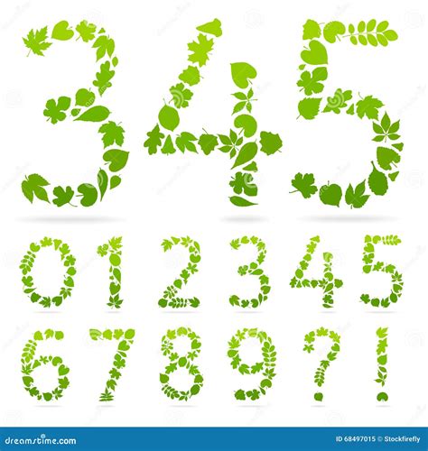Vector Numbers Of Green Leaves Stock Vector Illustration Of Fresh