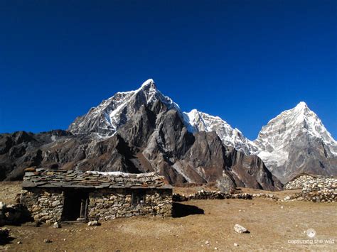 Mount Everest Nepal Capturing The Wild