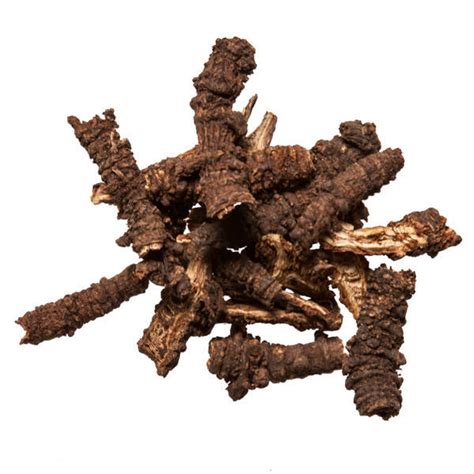 Qiang Huo Notopterygium Root