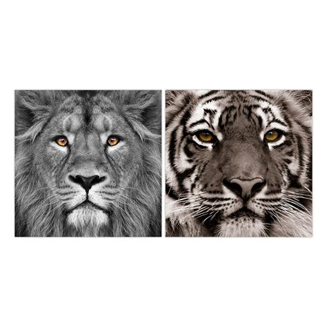 King Of The Jungle And Eye Of The Tiger Frameless Printed Tempered Art