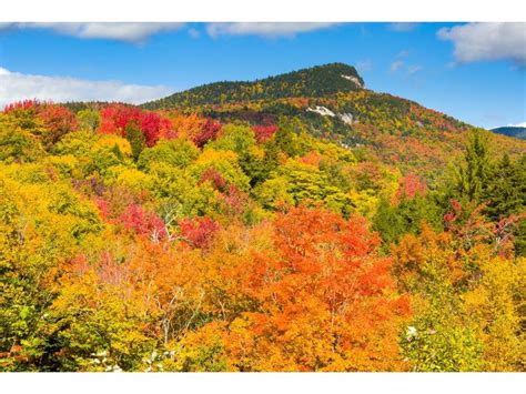 New England Fall Foliage 2017 When Do The Leaves Change Coloring Wallpapers Download Free Images Wallpaper [coloring837.blogspot.com]