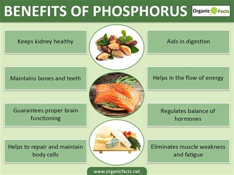 10 Amazing Benefits Of Phosphorus Organic Facts Vegetable Benefits