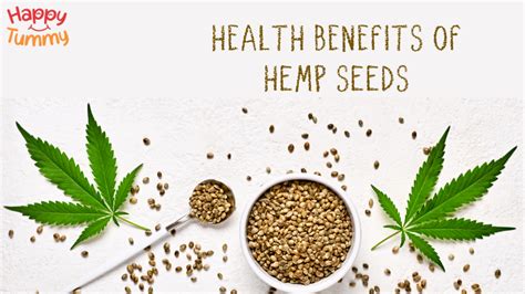 top 10 benefits of eating hemp seeds benefits uses and side effects happytummy