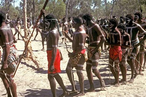 Mandhayung Men Aboriginal Ceremonies Northern Australia Ozoutback