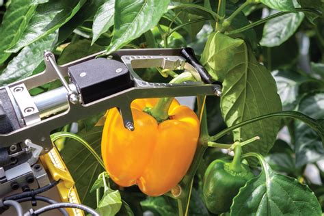 Easy Pickings How Robot Farm Hands Could Revolutionise Agriculture