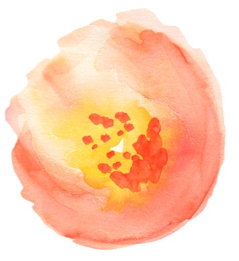 Peaches Clipart Watercolor Peaches Watercolor Transparent Free For