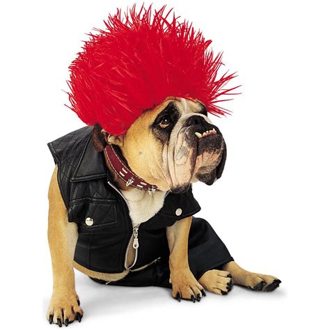 Punk Rock Pet Halloween Costumes Dog Halloween Dog Costumes Funny