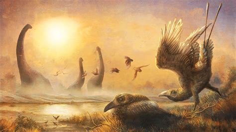 Dino Era Bird Had The Head Of A Velociraptor And Beak Of A Toucan I