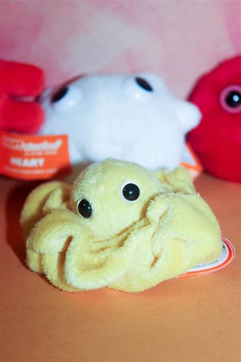 Price they'll brighten your day if any tainted love does come your way. Here's Why GIANTMicrobes Make the Perfect "Anytime" Gift ...