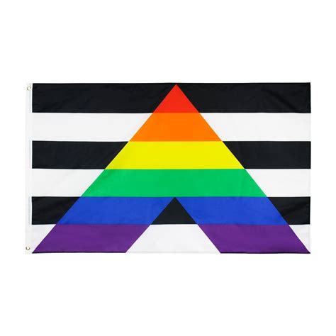 straight ally pride flag queer in the world the shop